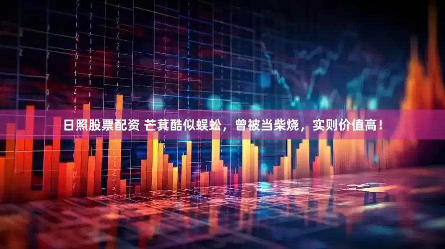 日照股票配资 芒萁酷似蜈蚣，曾被当柴烧，实则价值高！